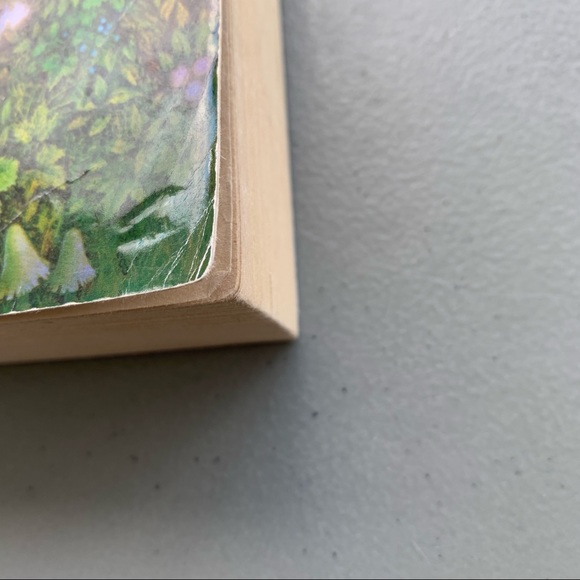 Inkspell paperback novel by Cornelia Funke - Picture 5 of 8